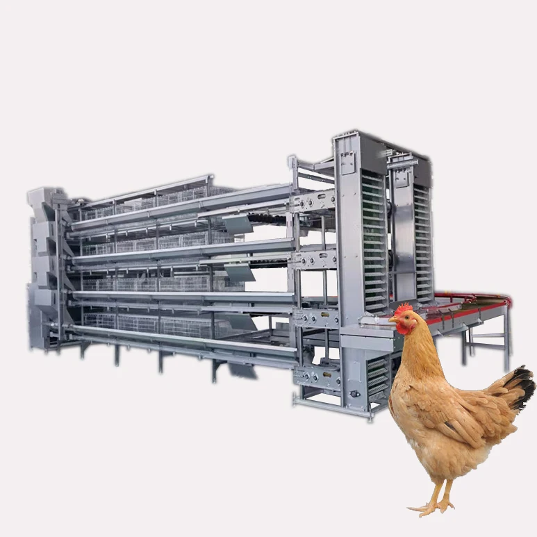 4 tier 160 birds chicken layer cages price battery cage design layer poultry cages for kenya farms