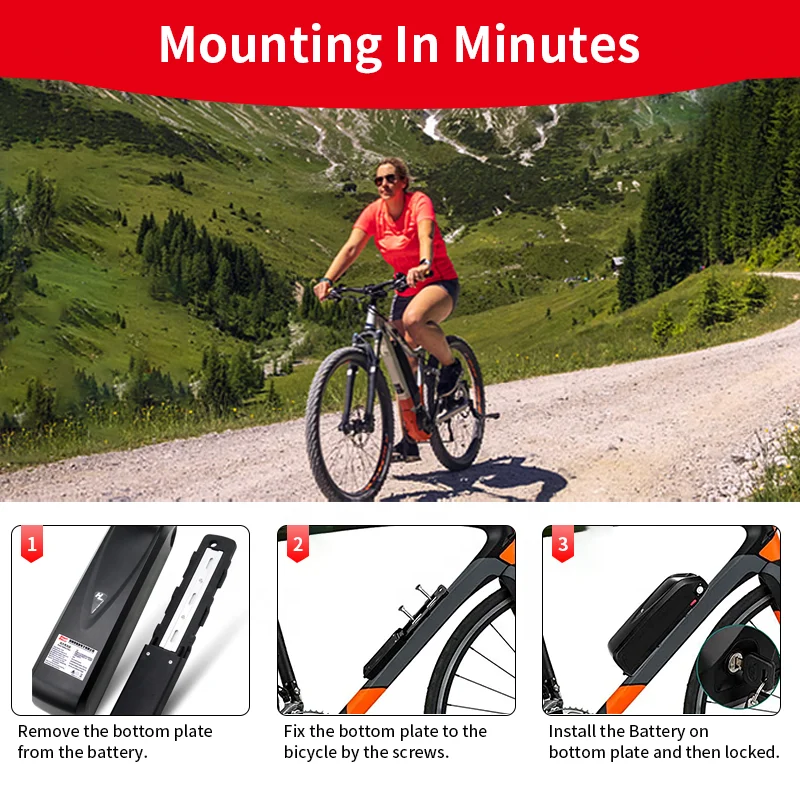 Customized Electric Bicycle 36v 48V 52V 10Ah 13Ah 16Ah HaiLong Battery