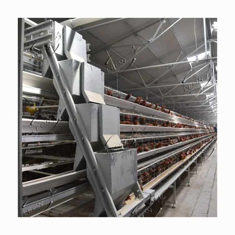 Commercial Used Automatic 4 Tiers Hens Poultry Farm Battery Layer Cages Free Layer Chicken Feeder System For 1000 Chicken Birds