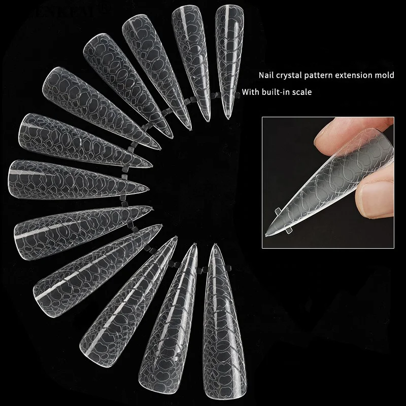 New 120Pcs Box Plastic Crystal Nail Forms Quick Phototherapy Extension Nail Forms Mold With Patterns