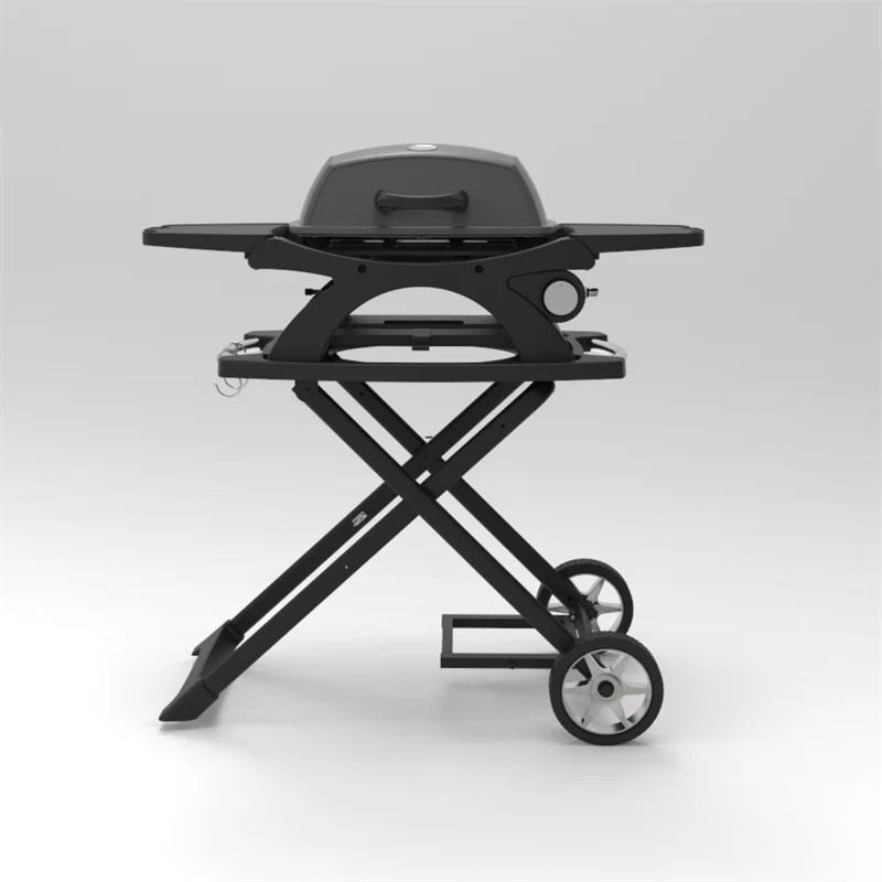 Gas Griddle Grill Stainless Steel Burner Porcelain-Enameled Cast-Iron Cooking Grates Tabletop Gas Grill