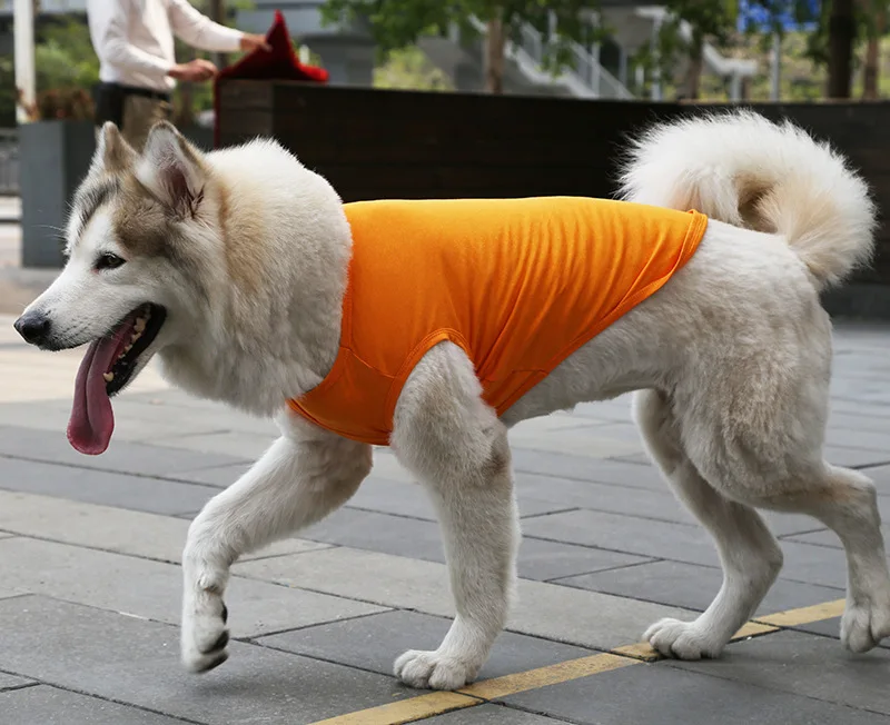 Hot Selling Wholesale Cheap Cotton Large Big Pet Blank dog Apparel Basic Dog Plain Shirt for Dogs
