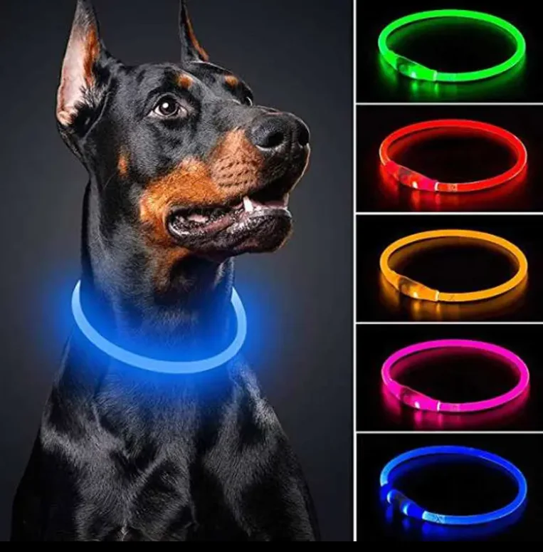 2024 New Usb rechargeable LED illuminates dog pet collar Personalized collar customized dog products