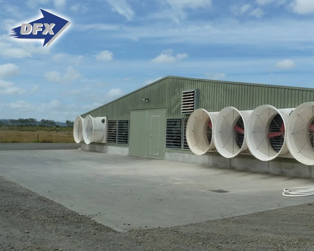 Wholesale Quick Install H Beam Steel Workshop/prefab Steel Structure Warehouse/hall/hanger Chicken Farm Poultry House