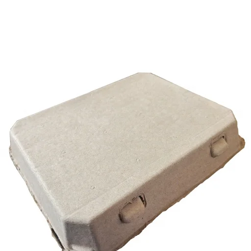 Economy Paper Egg Cartons Holds 12 Med To Large Size Eggs Free Range Duck Chicken Hen Recycled Cardboard