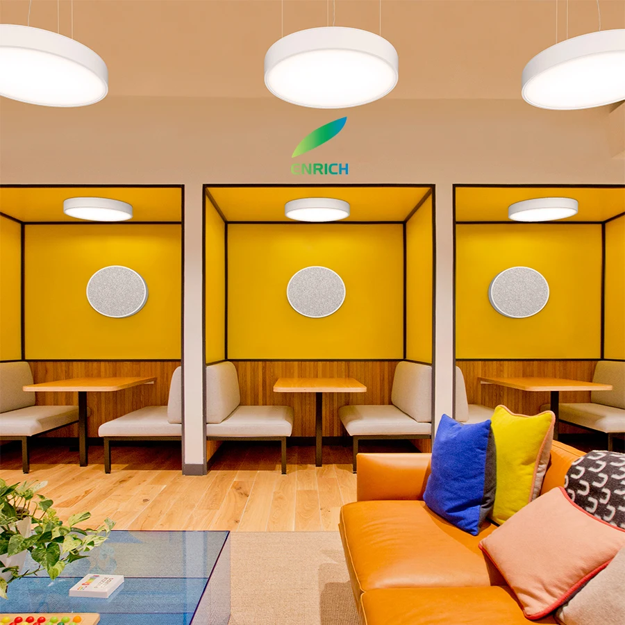 DMX512 Dali DT8 Dimmable LED Ceiling Circle Ring Lights RGB Full Color DMX LED Circle Light for Gym Lighting