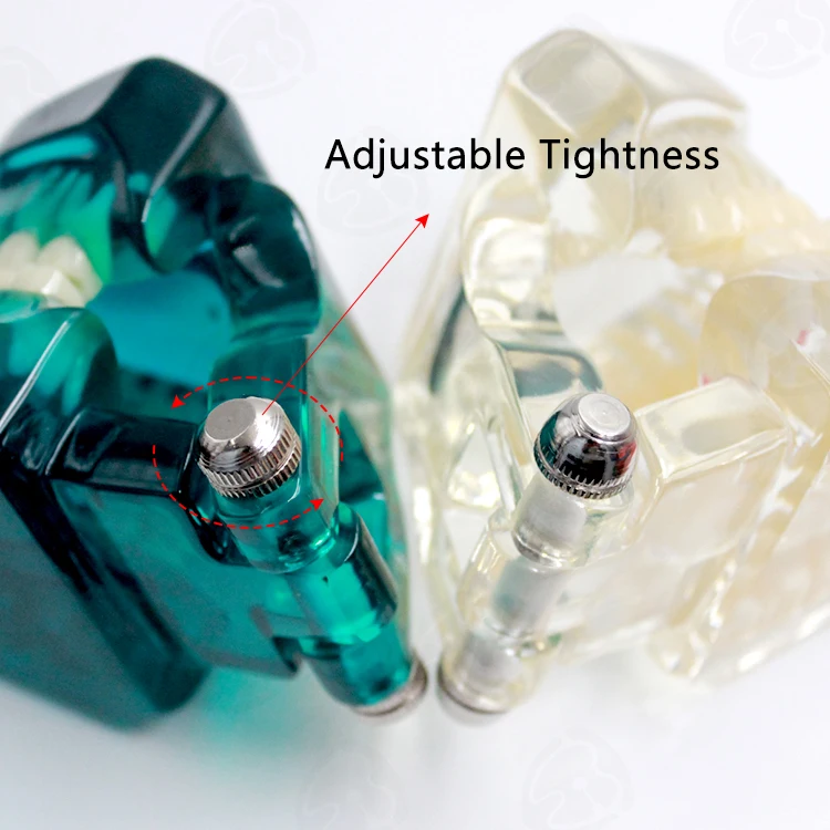 Medical science transparent dental teaching tooth model with nerves for medicine pathological tooth model