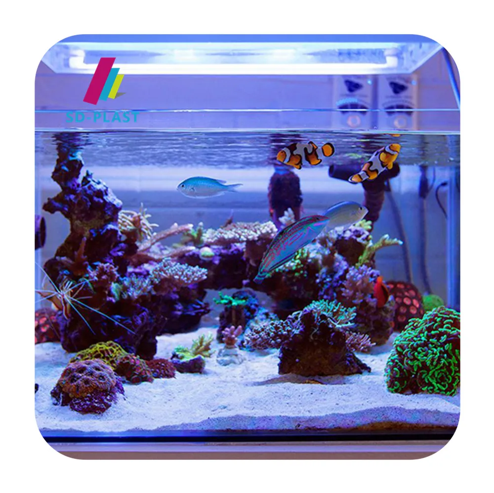 Fish tank bedroom set  Coral frag tank mini betta fish tank aquarium