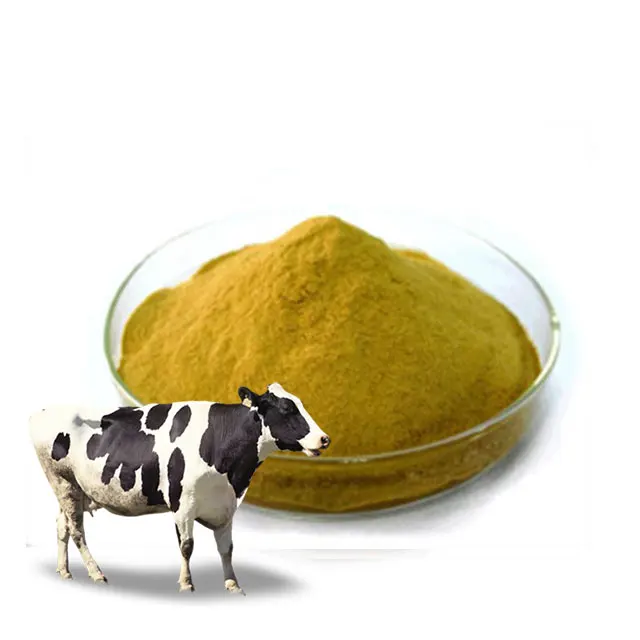 high protein autolyzed yeast as feed additives