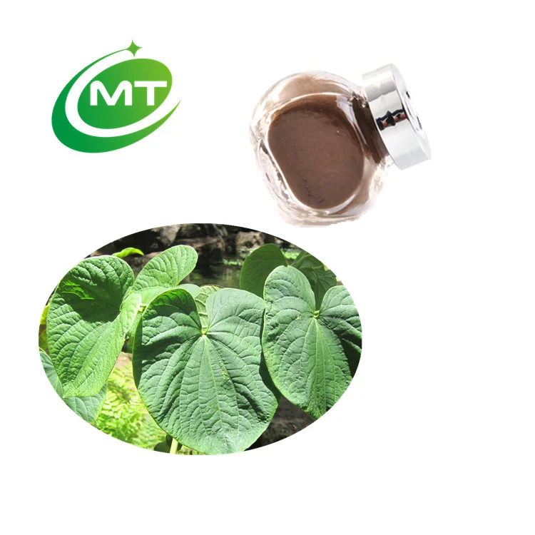 Заводская поставка, натуральное масло кавалактона, экстракт кавы