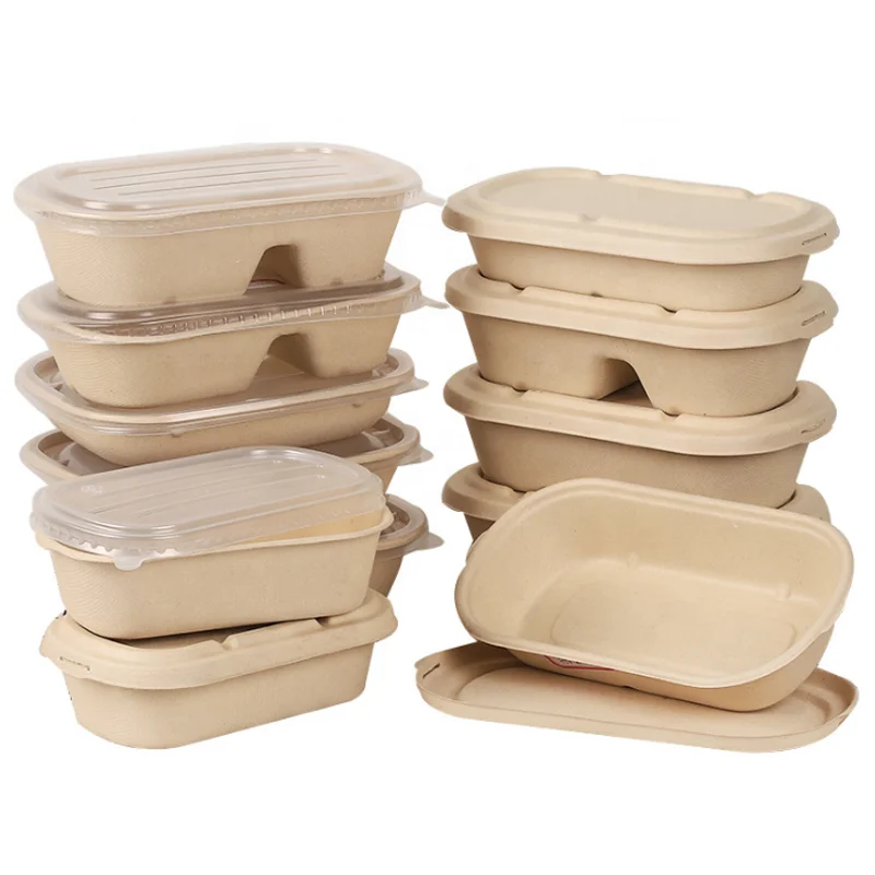 SenAng Disposable 700ml 850ml 1000ml Paper Pulp Bagasse Sugarcane Biodegradable Packaging For Food