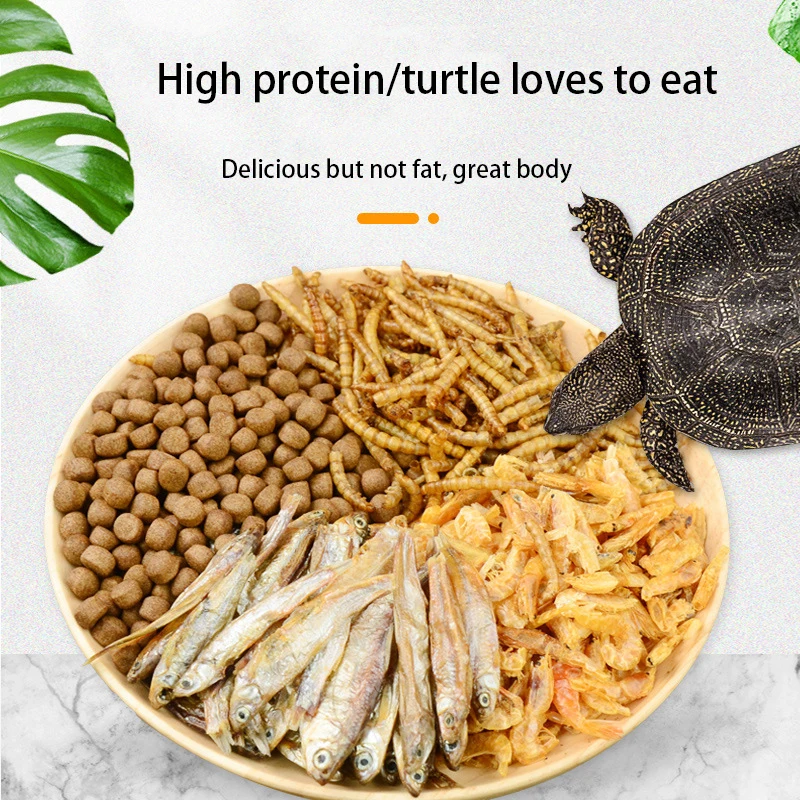 Pet feed dry fish dried salted fish dried shrimp dried grasshopper silkworm tortoise food snacks