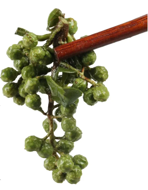 Оптовая продажа высококачественный зеленый сычуанский перец горячий горшок специи