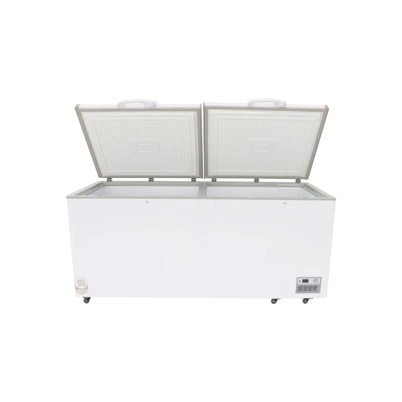High-Quality Factory Direct Sale Single-Temperature Large-Capacity Refrigerator for Cold Storage of Meat Fish and Other Foods