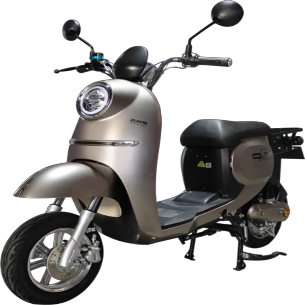 
Quilen 2021 China Factory Original high speed 1000w disc brake portable 10 inch two wheel electric motorcycles scooters adult 