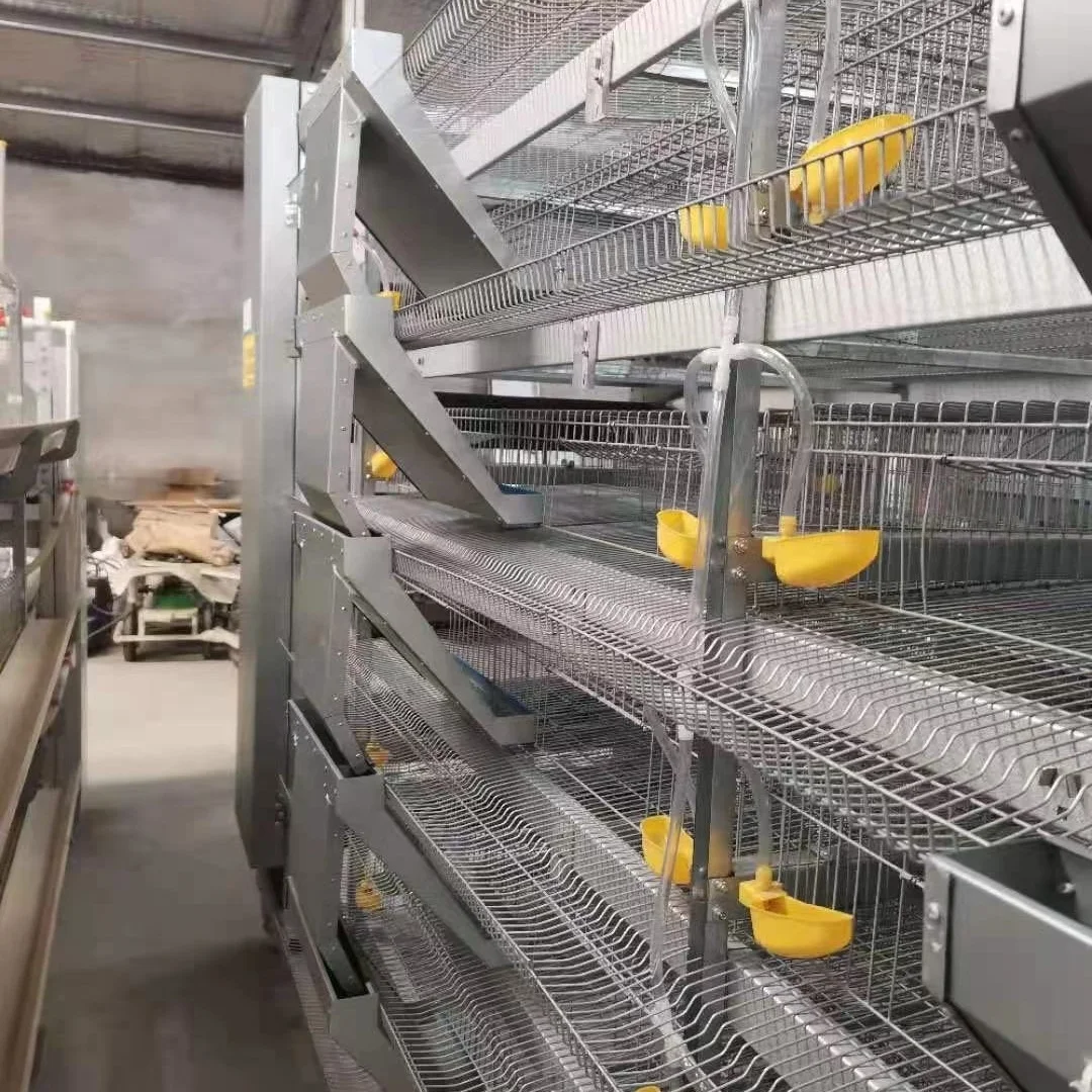 6 tiers 960 birds hot galvanized quail cage layer Animal cage breeding quail cage from alice zhang supply