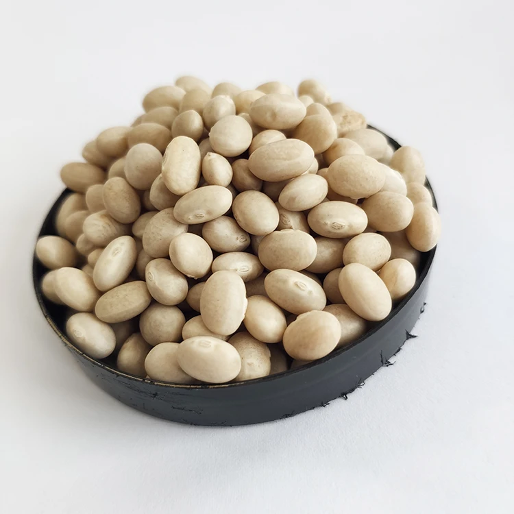 Chinese Good Quality Kidney Beans With Navy White Kidney Beans