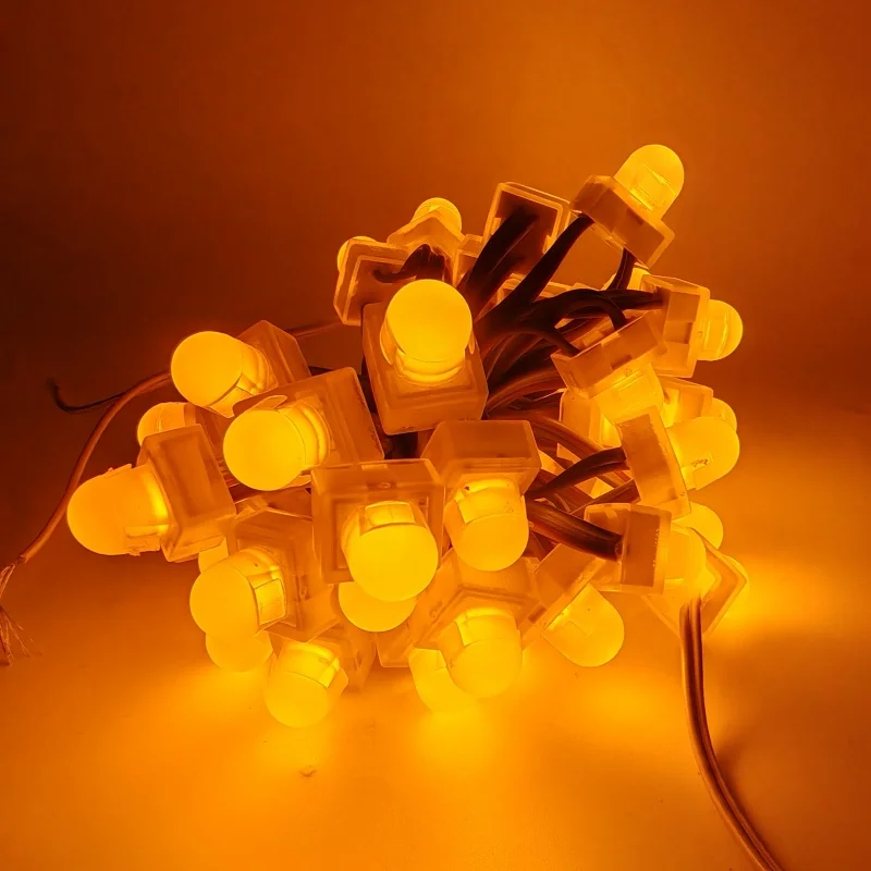 RGBW Diffused RGB LED Pixels Programmable Christmas Lights