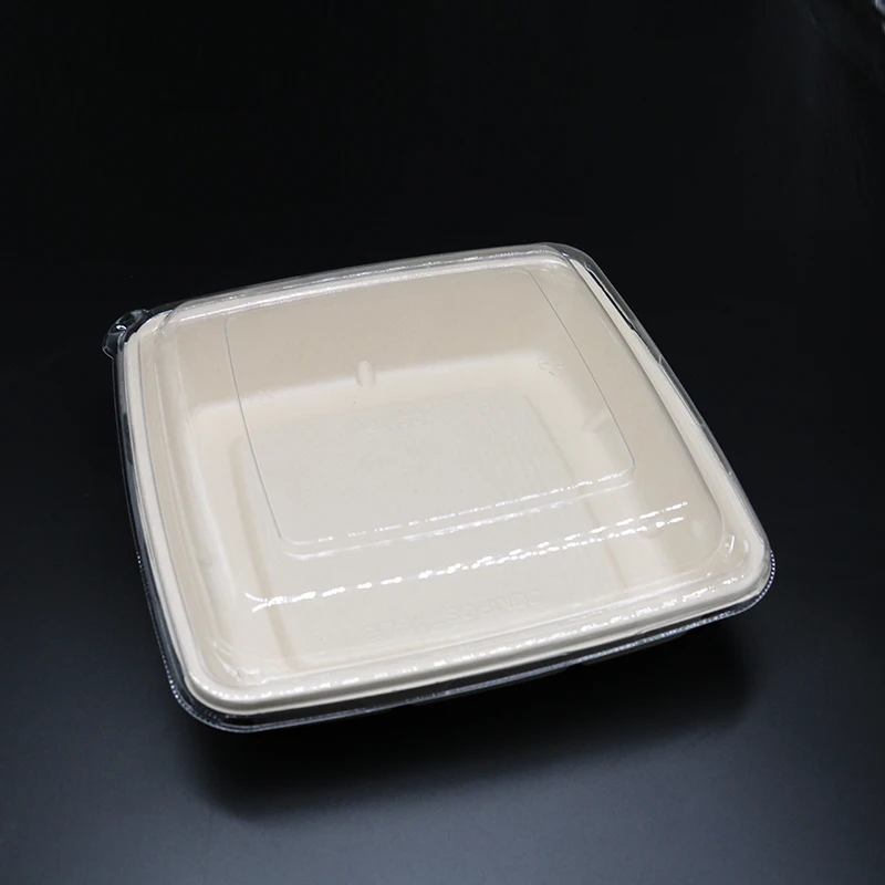 8*8-inch 1000ml/32Oz Square Environmental Biodegradable Takeaway Disposable Recycled Food Container Sugarcane Bento BOX