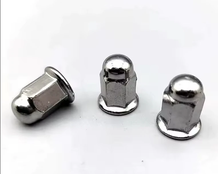 4mm 6mm M10 M6 M8 High Quality Cap Nut Hex Dome Nuts Acorn Hot Sale
