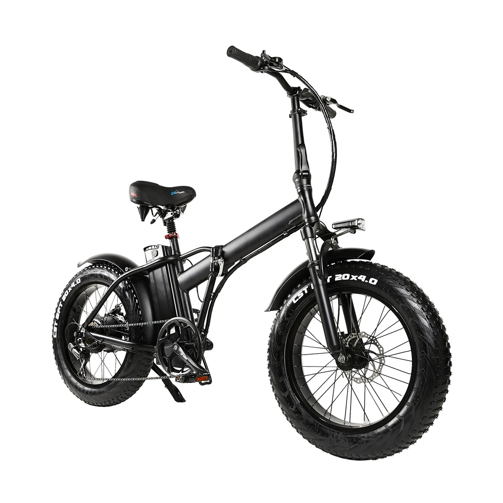 European Stock Light Weight Hot Sales Carrier EU Regulations Outdoor Electric Bicycle