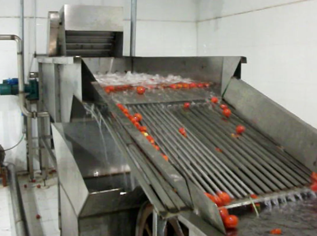 canned diced tomato  processing machindiced tomato canned fruit production line