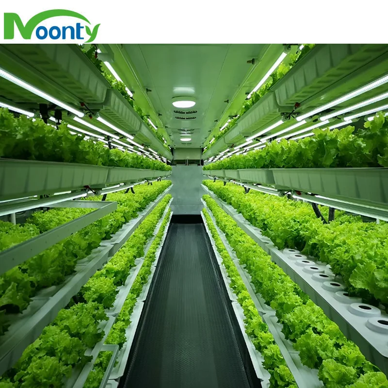 Agricultural Greenhouses Hydroponics System Container Vertical Farms Agriculture NFT Hydroponic System for Lettuce/Greens
