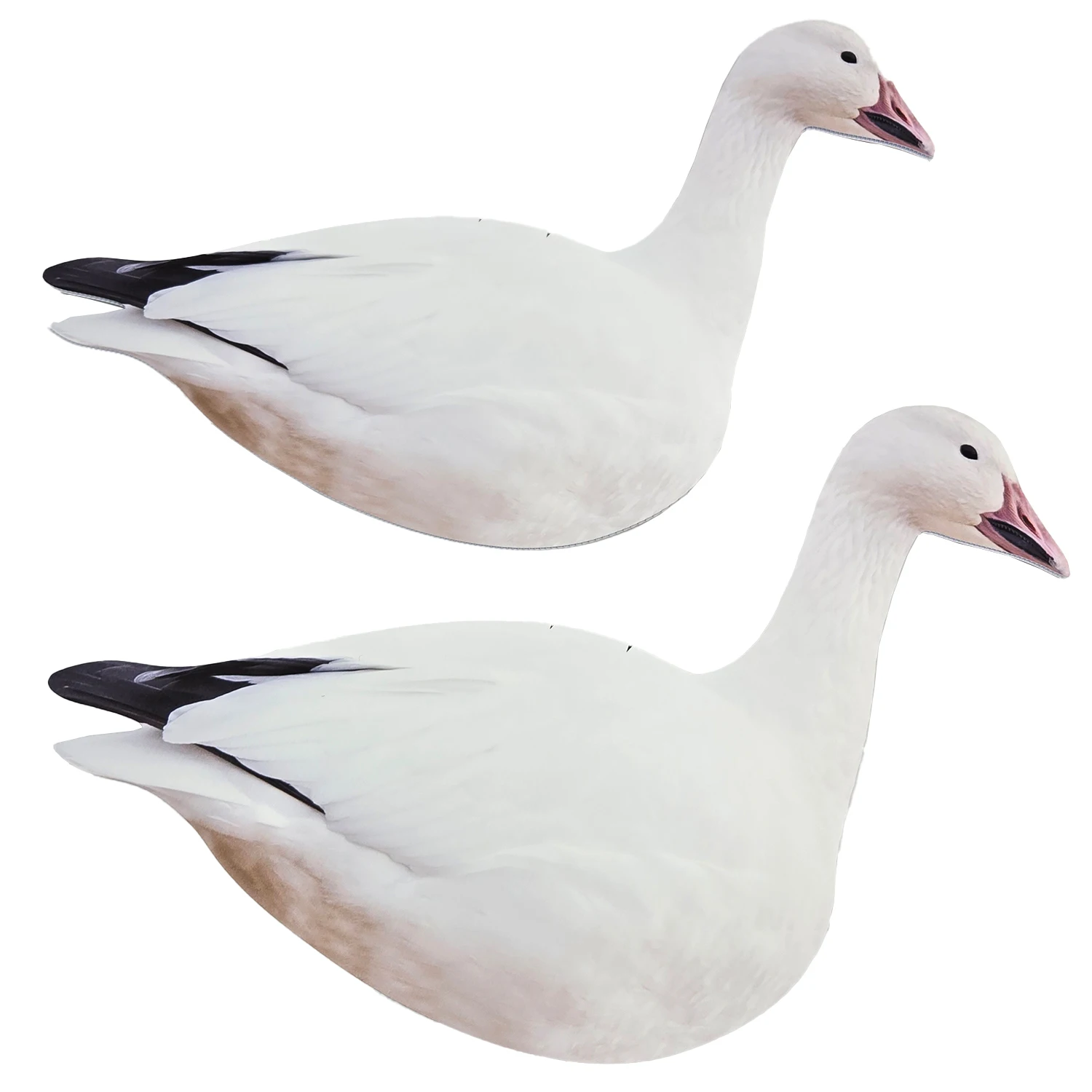 Special PE Sheet  Multi-Color Printing Waterproof and Fade-Proof hunting goose Silhouette Decoys