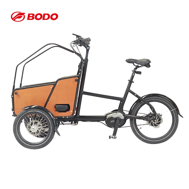 250w Bafang mid motor electric cargo bike tricycle/3 wheel electric bike cargo for family