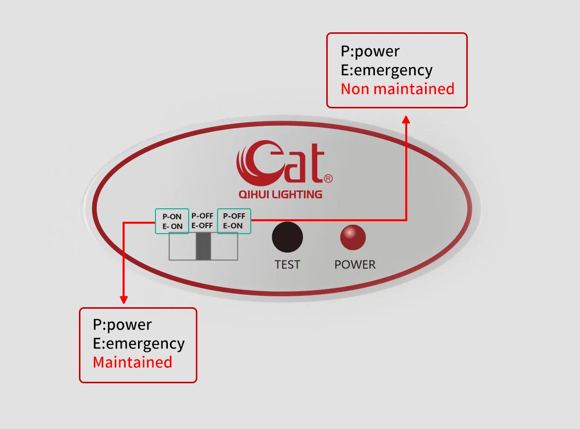 Знак пожарного выхода аварийные огни автоматический светодиодный перезаряжаемый аварийный выход