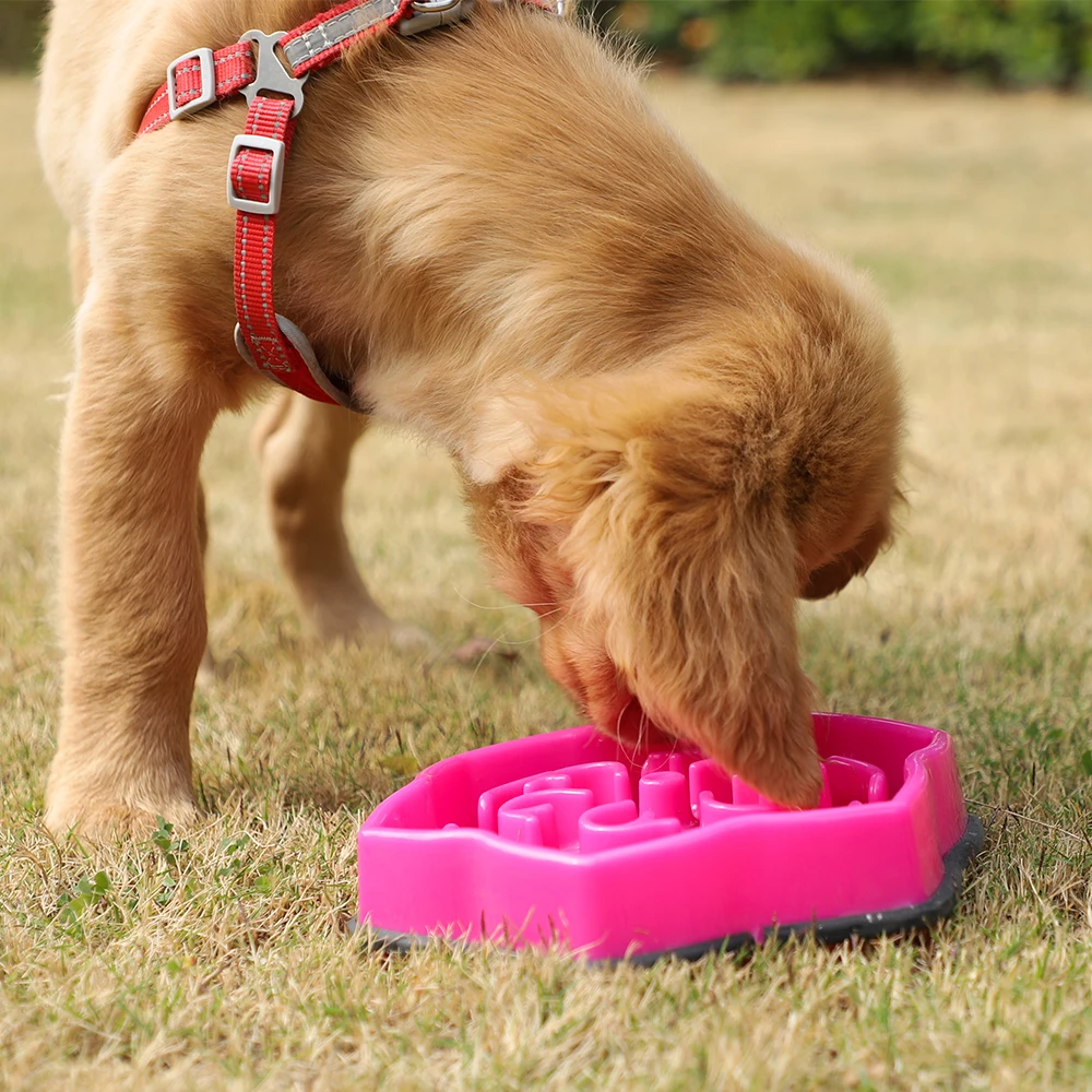 2021 hot sellers Factory Wholesale cheap slow food anti-choke dog bowl folding fun feeder slow bowl