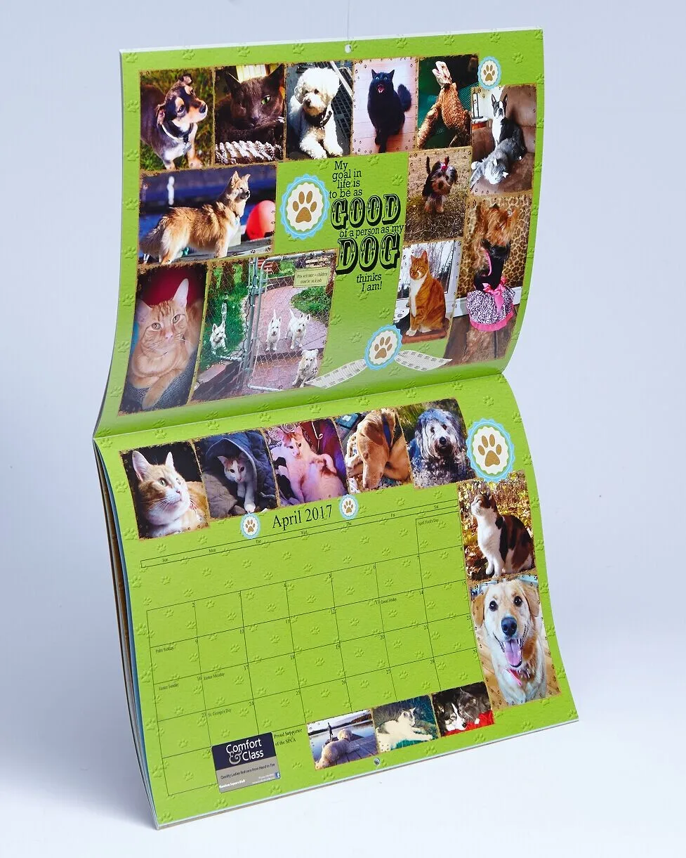 Custom OEM design coloring cartoon daily Tear off calendar printing