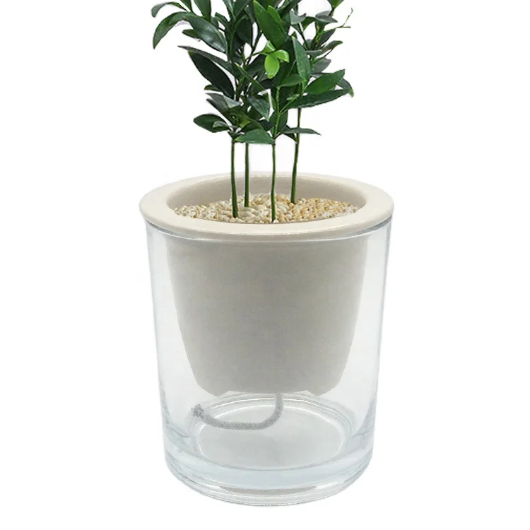 Small Clear GLASS AND White CERAMIC SELF-WATERING hydroponic Planter flower Pots