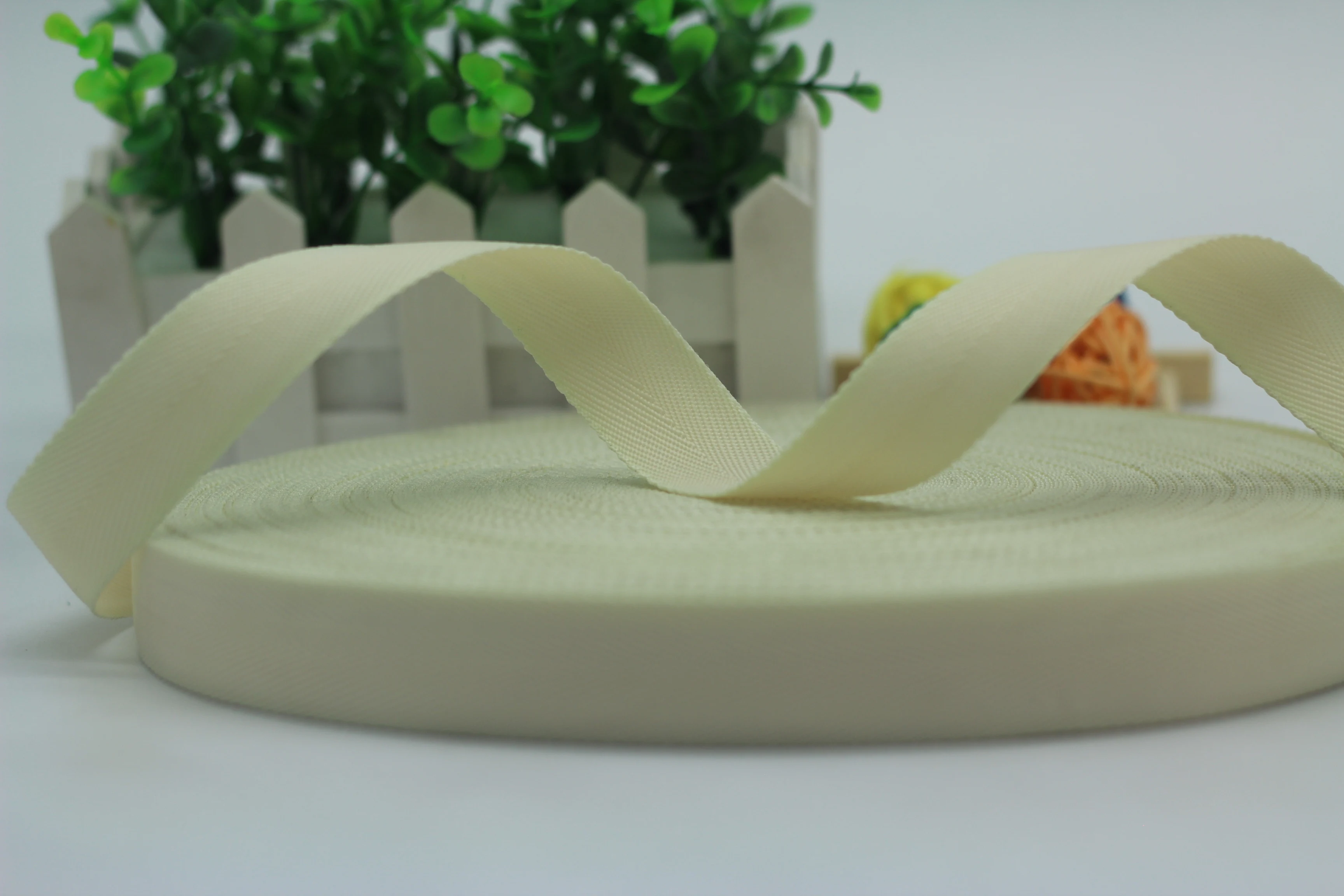 China Manufacturer supply twill weave 23mm polypropylene Webbing schoolbag Covered edge straps