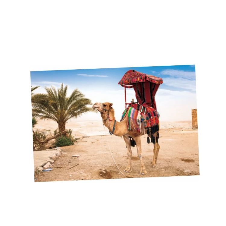 
high quality bear lenticular 5d pictures 