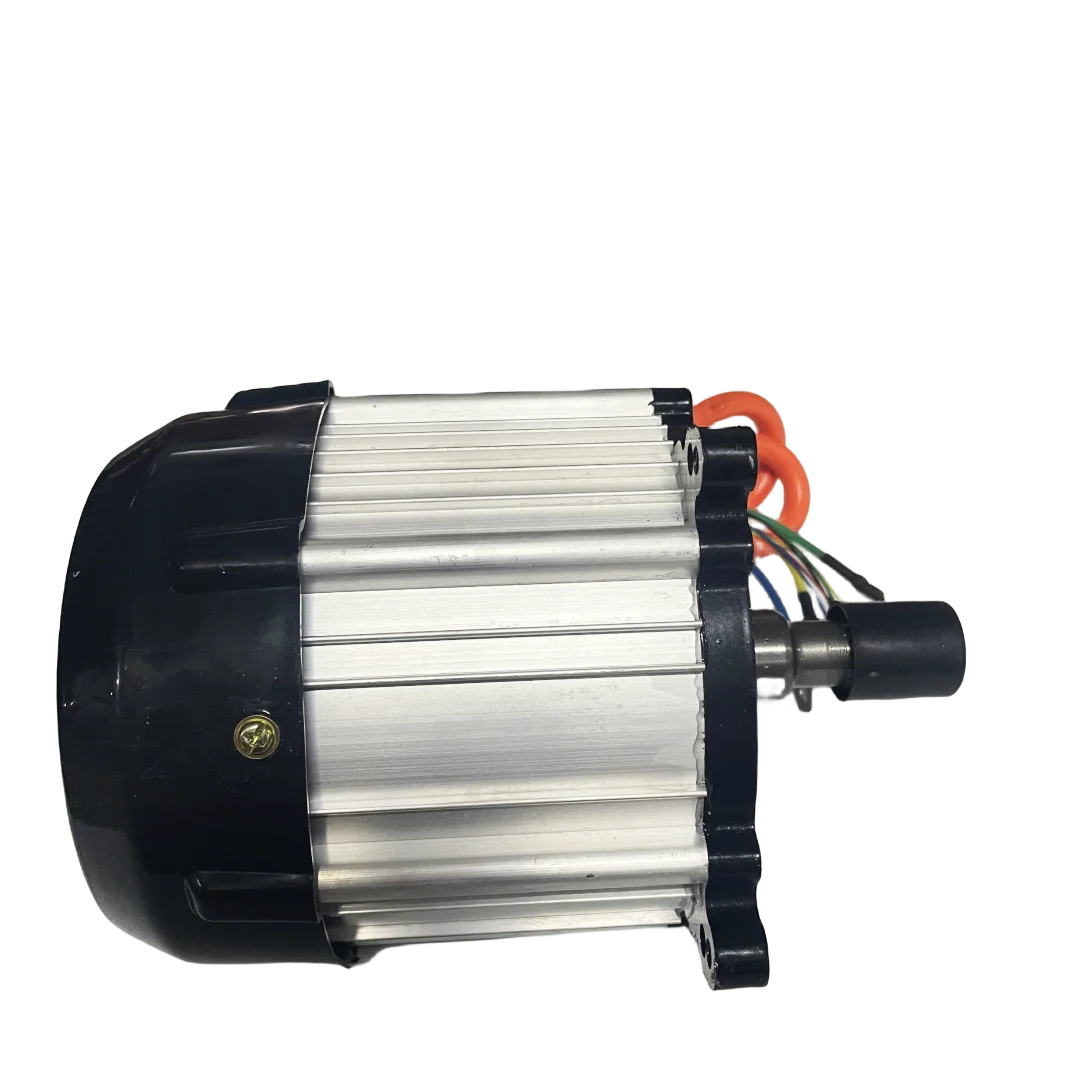 High torque brushless hub motor 1200w 48v dc differential speed motor for electric tricycle