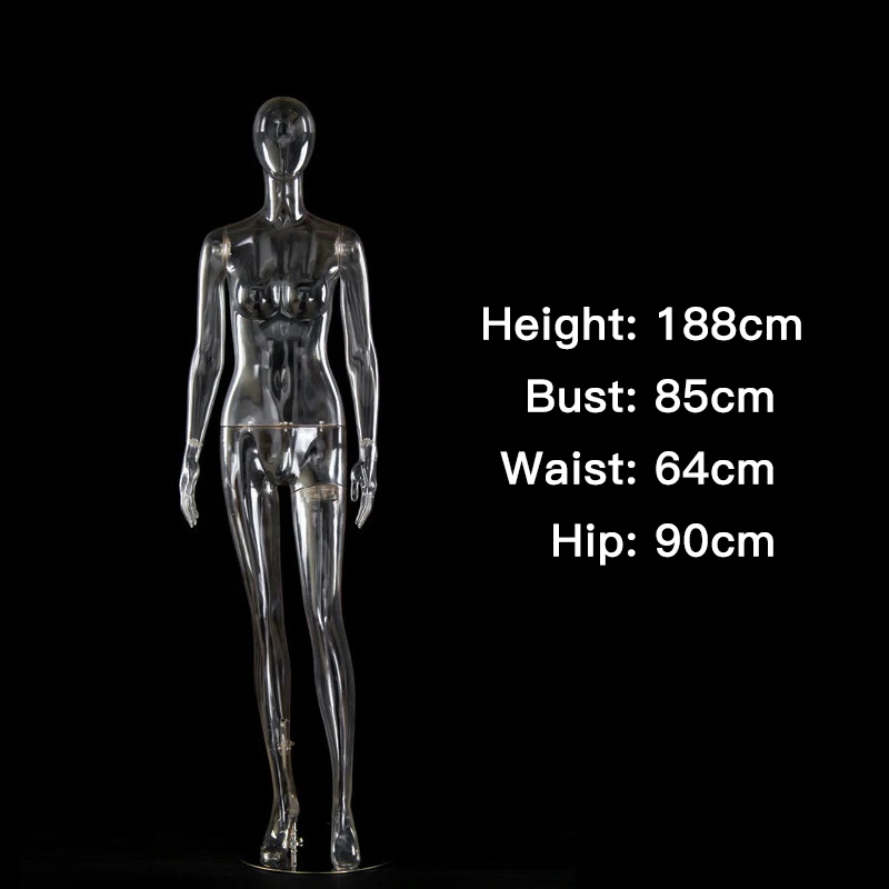 New Fashion Factory Price Window Display Full Body Standing Female Clear Mannequin