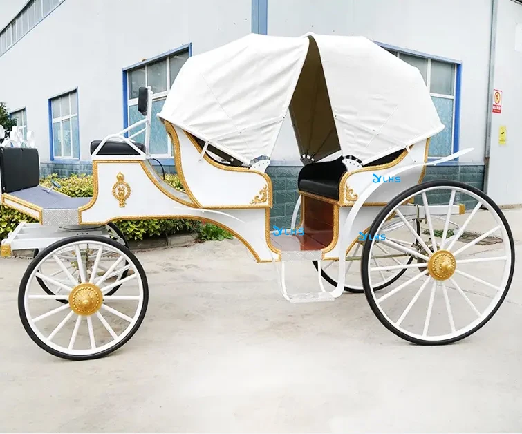 Special transportation for sightseeing electric tourist horse buggy carriage royal horse carriage manufacturer