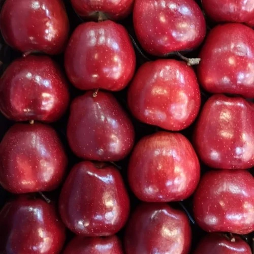 
Farm price apples red delicious fresh fruits Greek origin fresh apple 