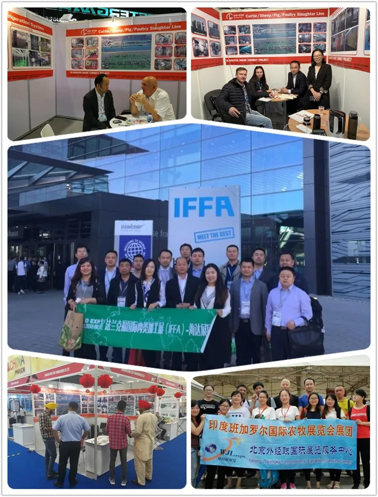 halal_goat_abattoir_with_lamb_slaughter_house_meat_process_butchery_system_equipment