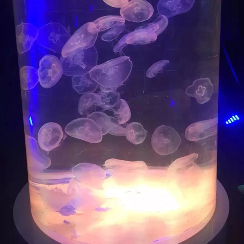 Wholesale hot sell acrylic fish tank/large aquarium for sale,aquarium jellyfish,aquarium decoration
