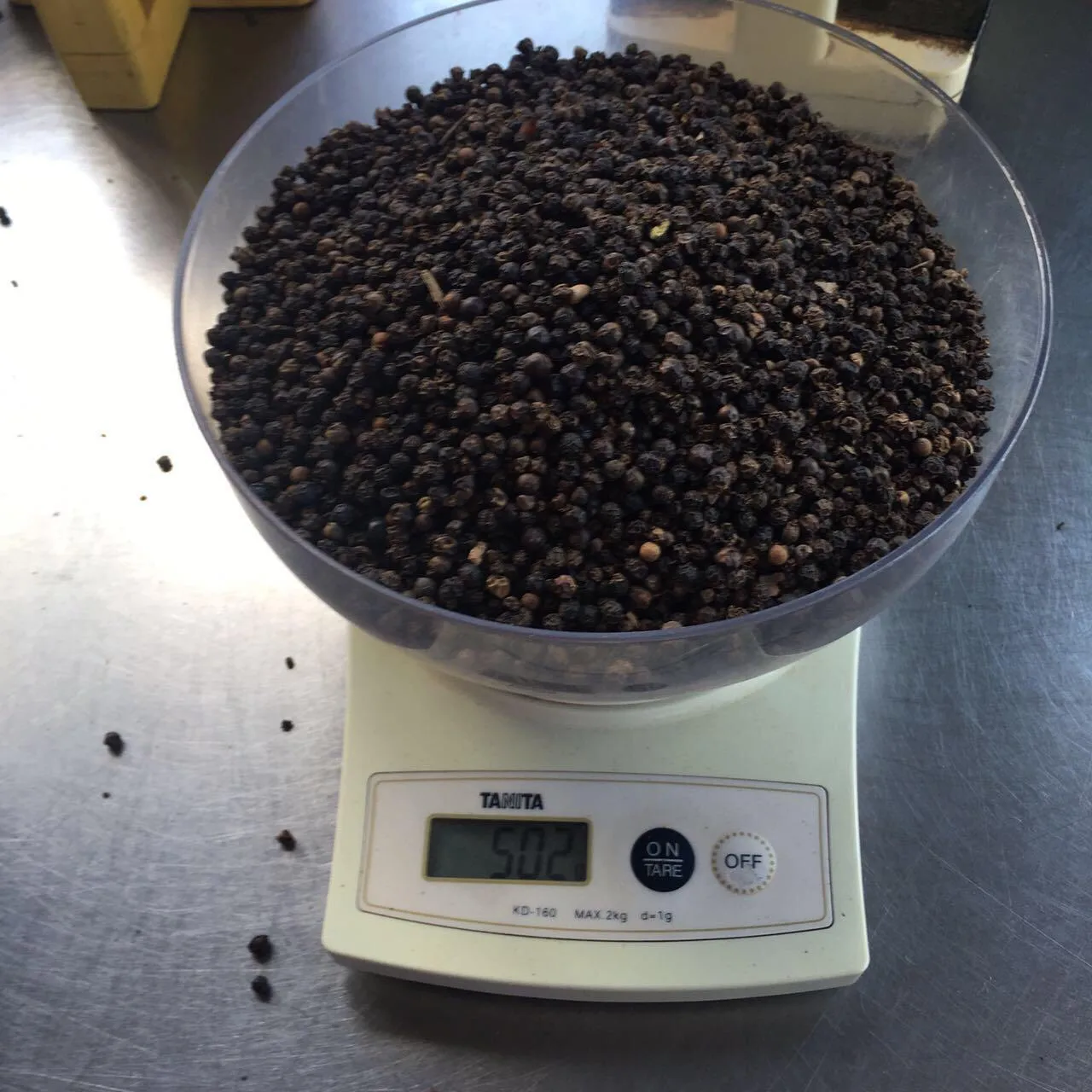 Whole BLACK PEPPER black pepper with round shape dried peppercorn pepper origin Vietnam