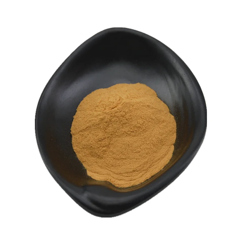 Supply Free Sample 30% polysaccharides UV bulk reishi extract powder