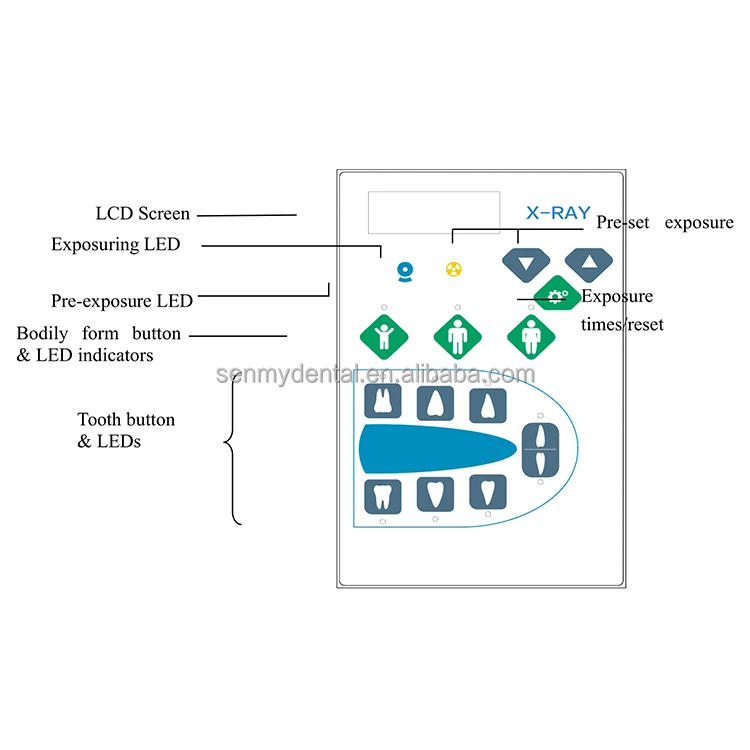 S601 Good Quality Dental x ray Tube Standing Dental X-ray Machine with Moving wheel