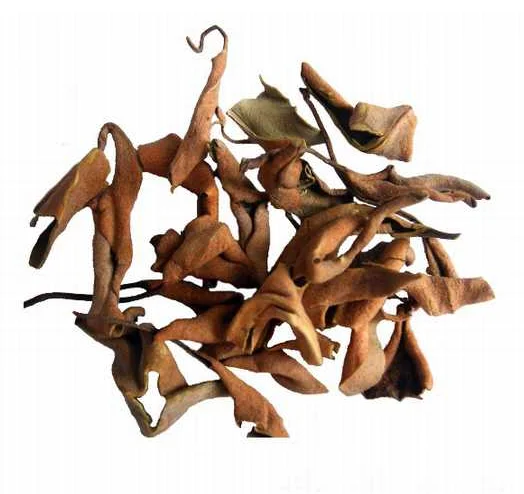 
Folium Pyrrosiae Small bags packing 10g per bag 