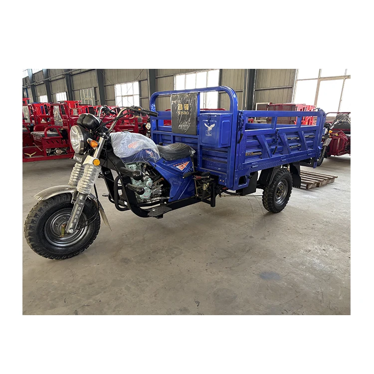 China Cheap Adult 150cc 175cc 3 Wheeled Gasoline Moto Cargo Load Tricycle Motorcycle for Delivery