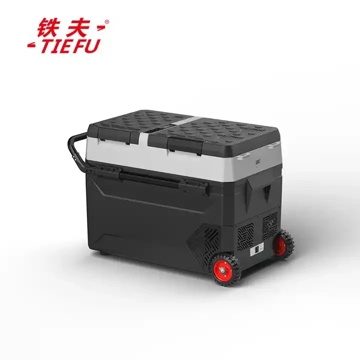 12v Dc Mini Refrigerators Manufacturer Fridges And Deep Freezers Camping Portable Mini Fridge