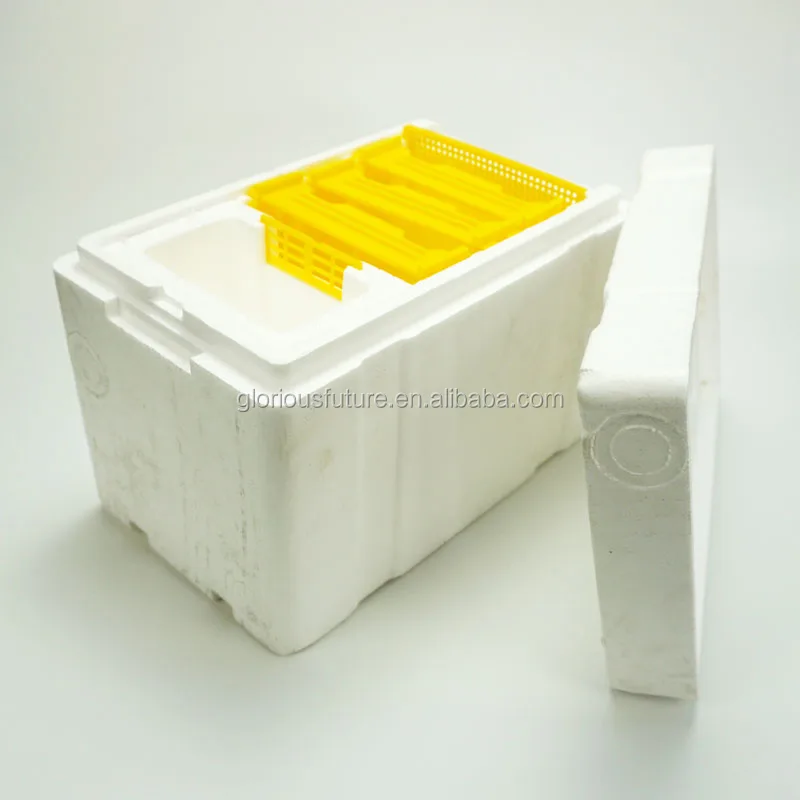 Beekeeping Plastic box for bee Honey Queen Bee Hive Nuc Box Mini bee Mating Boxes