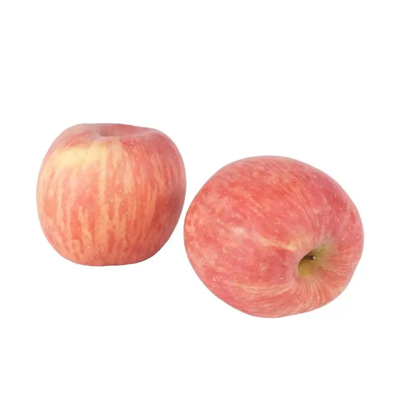 Fuji Fresh Apples Crisp and Juicy Premium Quality Fruit