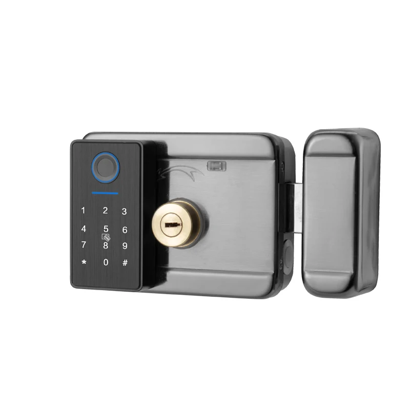 Hot selling on e commerce platform Smart Cheap Aluminum Biometric Ttlock app Tuya Double Sided Fingerprint Door Lock